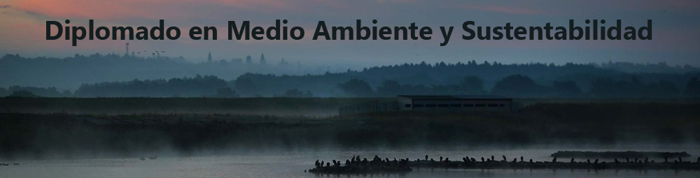 Diplomado en Medio Ambiente y Sustentabilidad