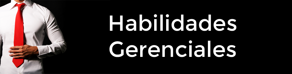 Diplomados en Habilidades Gerenciales